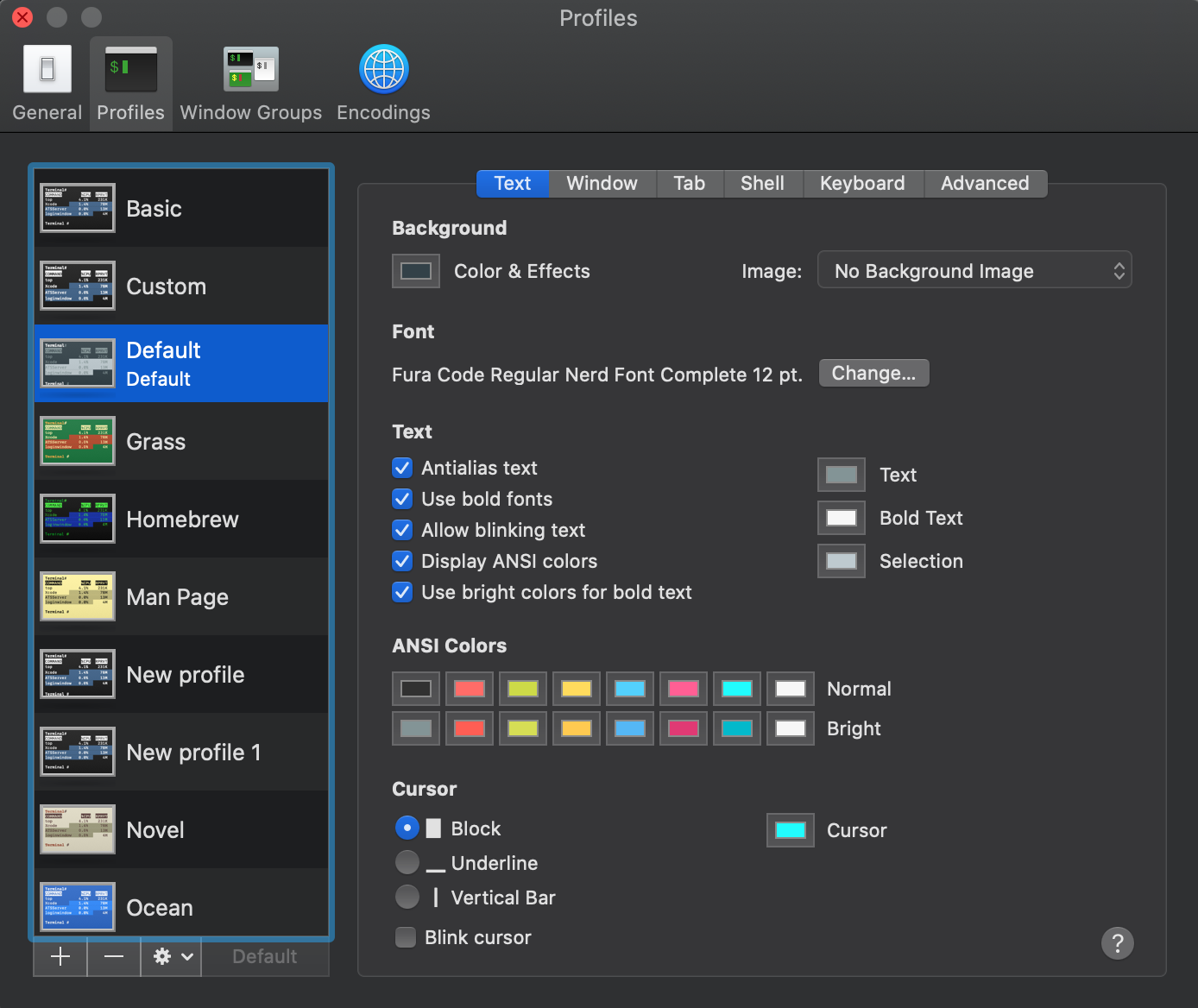 Terminal Preferences